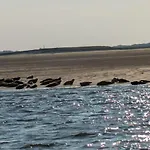 Tatil Evi Drei-insel-blick Neßmersiel