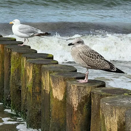 Holiday home Drei-insel-blick *