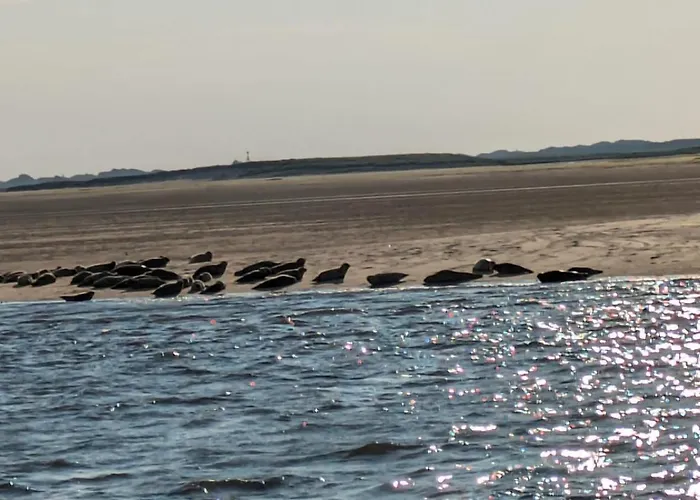 度假居 Drei-insel-blick Neßmersiel