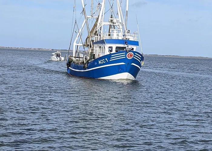 Drei-insel-blick Neßmersiel